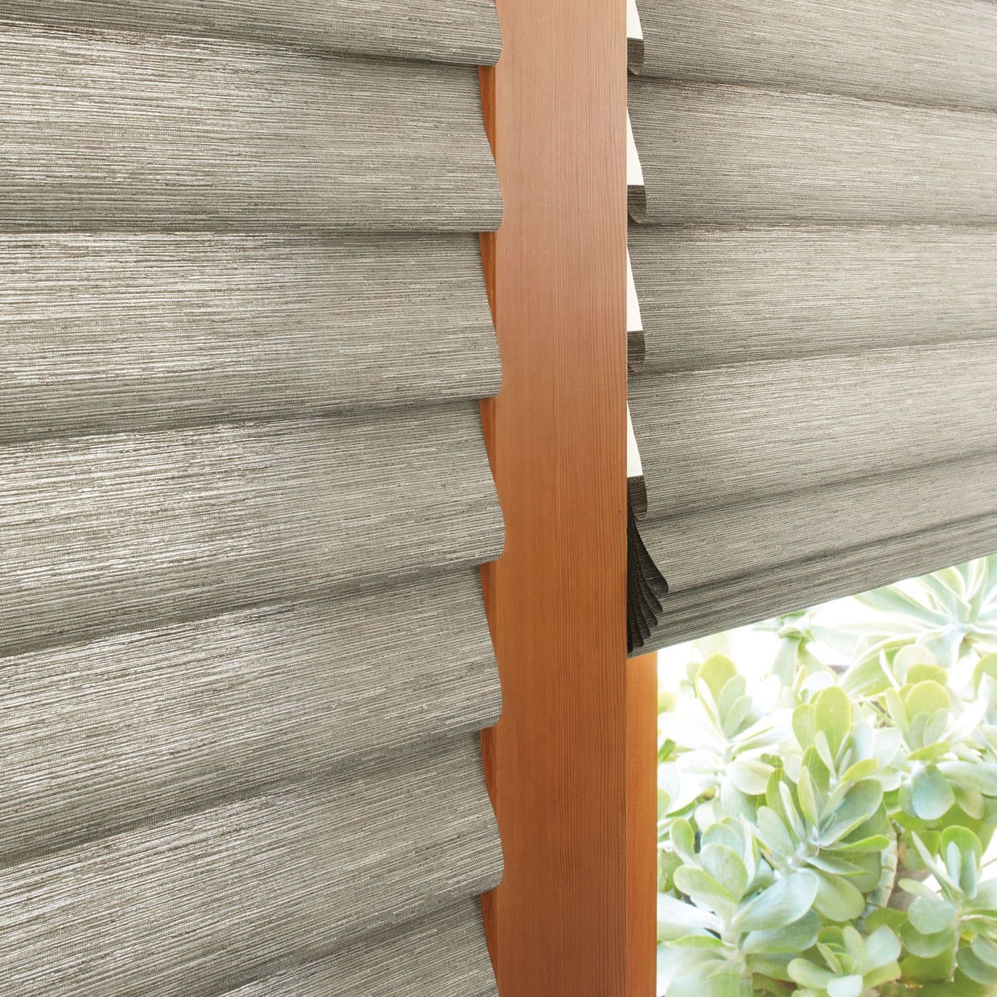 photo : vignette-alustra-silk-road-dynasty-59329712:square-lg