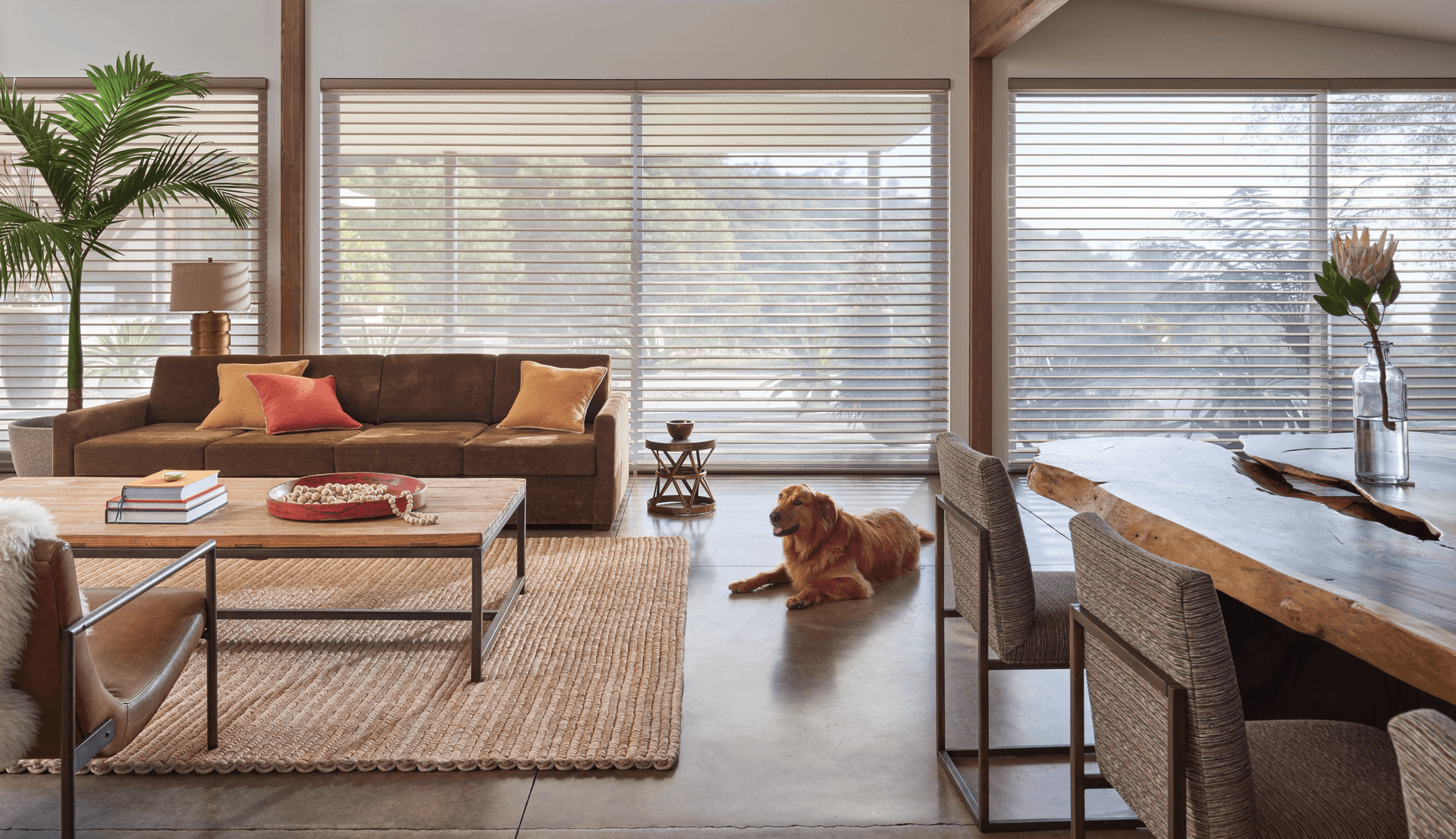 Grands Traitements de Fenêtre & Stores